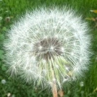 poopfrombutjustkidding