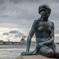 Barbara Barber ✌️