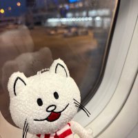 もとむー@8/1NS→RC12/12福岡1/23大阪2/6東京