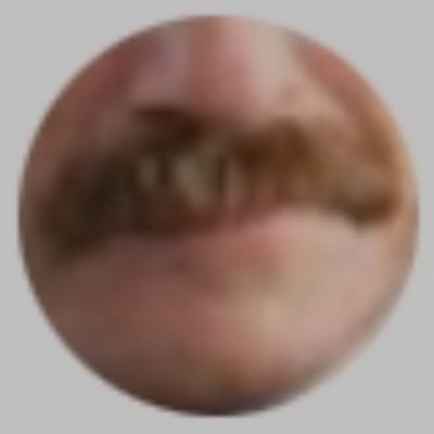 Mr. Monk’s Understudy