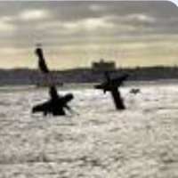 Martine Louise Bonneywell (field/gilbert)