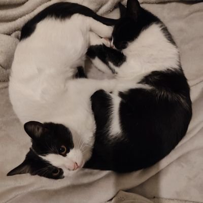 🇨🇵DJeyzz 💙🤍❤️🥖🍖