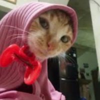 çok mutsuzum ama iyiyim