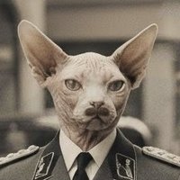 ℂ𝕒𝕡𝕚𝕟𝕘𝕦𝕤 𝕥𝕙𝕖 𝕎𝕙𝕚𝕥𝕖