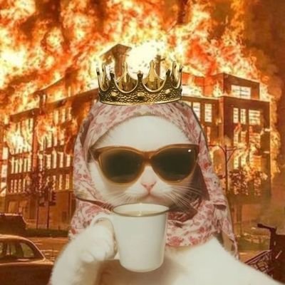 (closed until db comeback)