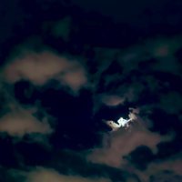 志音；☮️💟自己との対話と吐き出し