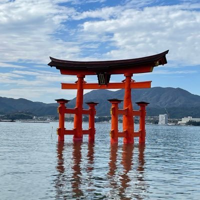 海賊王に俺はなる⚾️いつかドームへ