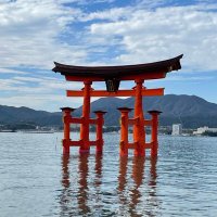 海賊王に俺はなる⚾️いつかドームへ