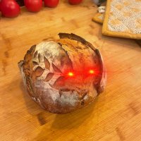 radikaler broto-demokrat