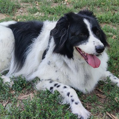 *乇几乙ㄖ* ﮩ٨ـﮩﮩ٨ـﮩﮩ ηαρσℓι ﮩﮩـ٨ﮩﮩـ٨ﮩ