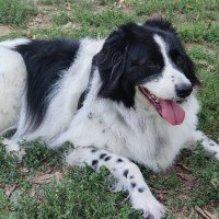 *乇几乙ㄖ* ﮩ٨ـﮩﮩ٨ـﮩﮩ ηαρσℓι ﮩﮩـ٨ﮩﮩـ٨ﮩ