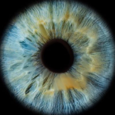 Peak Of Comedy: The PNGtuber Saga