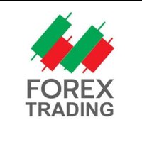 forex trader