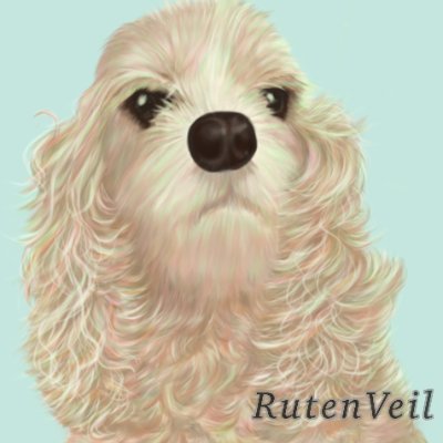 RutenVeil