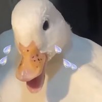 「死ねば、助かるのに…」それは、南郷の背後のソファに座っているあの少年から発せられた言葉。