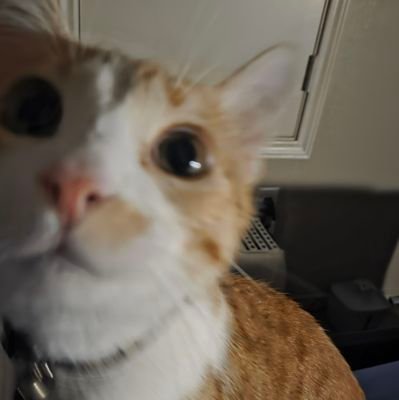 Kaayyy33🇵🇷✨️