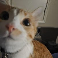 Kaayyy33🇵🇷✨️