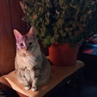 Donatella and her Mammy🇮🇹