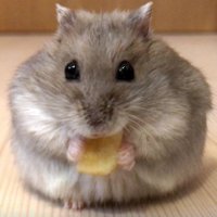 そうそう🍎🅐🅡🅘🅡🅐🅝🅖⁷