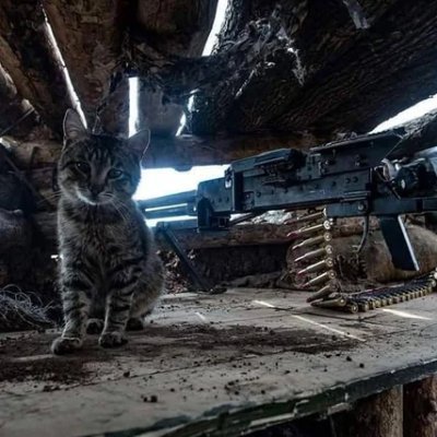 homme poire cold 912