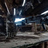 homme poire cold 912