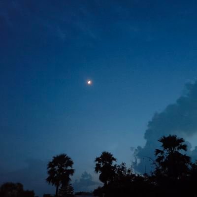 _अल्फ़ाज़