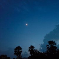 _अल्फ़ाज़