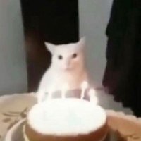 𑁭𐑼 𝗗𝗶𝗻𝗸𝗶 ᶻᶻᶻ