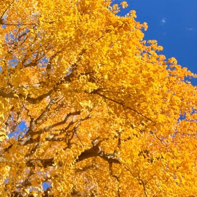 ゆっくりじっくり