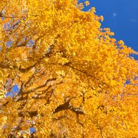 ゆっくりじっくり