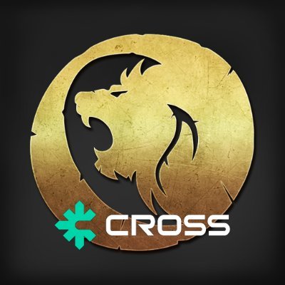 ROM: Golden Age on CROSS