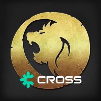 ROM: Golden Age on CROSS