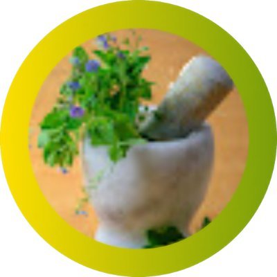 Pampa | Health & Fitness Regime