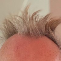 DatGaanWeDoen! ⚜️