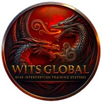 WITSGlobalCorporation