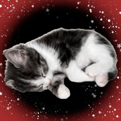 ✩༺ 𝚁𝚢𝚊𝚗 ༻✩ || ✂ 𝚜𝚑𝚎𝚍𝚝𝚠𝚝 ✂ ||