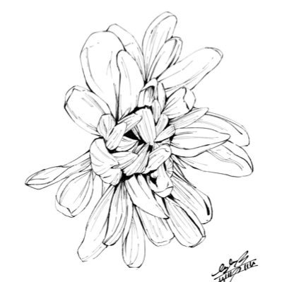 塔崎ながれ/Tozaki Nagare