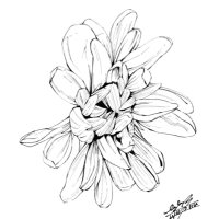 塔崎ながれ/Tozaki Nagare