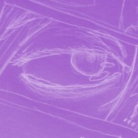 Fuyuki🌸segue na roxinha