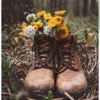 Cristina Zingale 🇮🇹 🇵🇸 🇬🇱🇪🇦🇱🇧