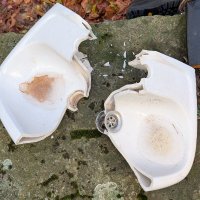 Bronteroc 🏳️‍🌈 