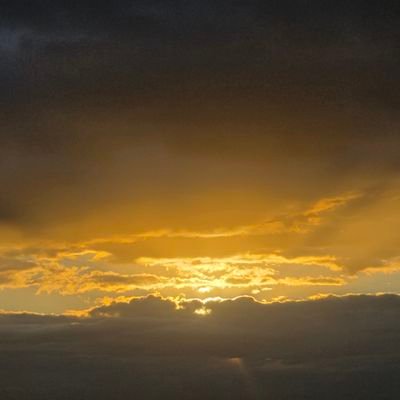 Omar A.🍂🇭🇳🍉