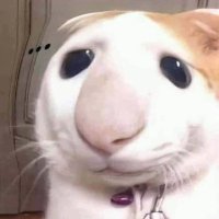 chiến nguyễn hiệu