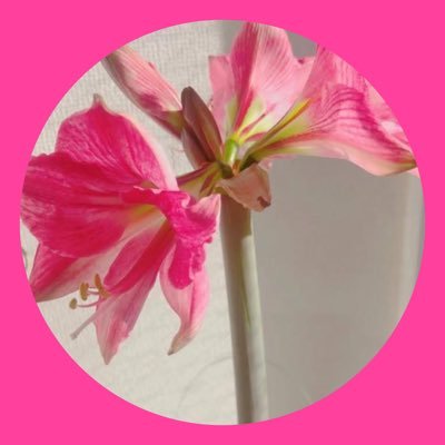 ✨🌈🌹ＩＫＵちゃん🌹