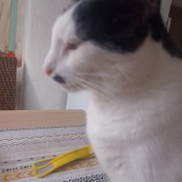 Michelle en Paul Claessens Meeusen