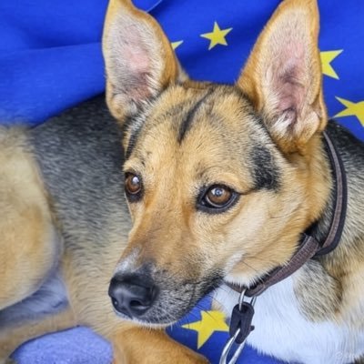  WuesteGobi 🇪🇺📯🌻