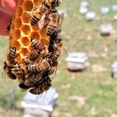 ZiHNi ÇiFÇi SİVASBALEVİ🇹🇷͜͜͡͡✯