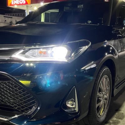 ウイングフィールダー