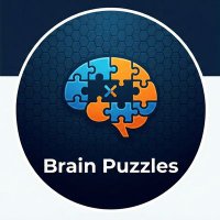 Brain Puzzles