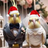 ❤︎kofi anandır ❤︎